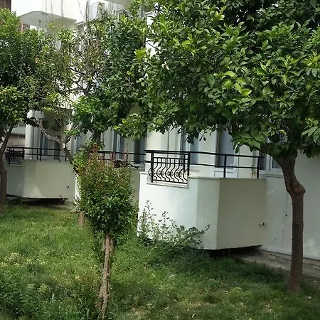 Oeznur * Side
